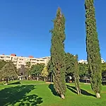 דירה Loft Cruz By Interhome סנטה קרוז דה טנריף